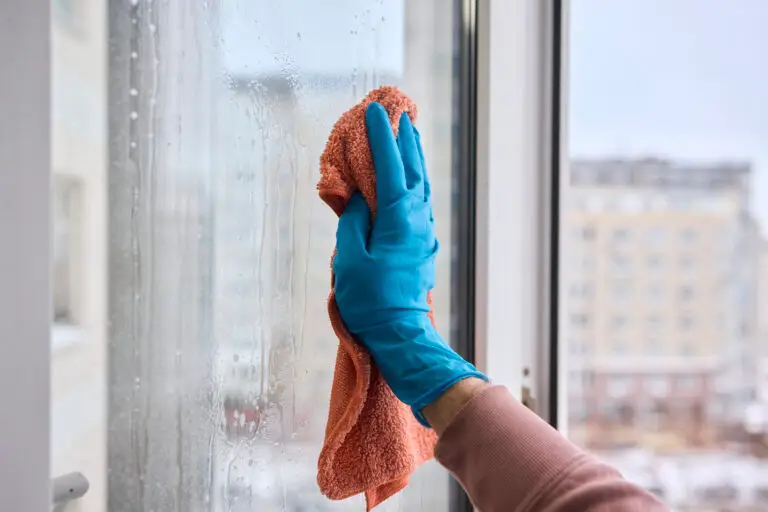 Best Way to Clean Windows Without Streaks