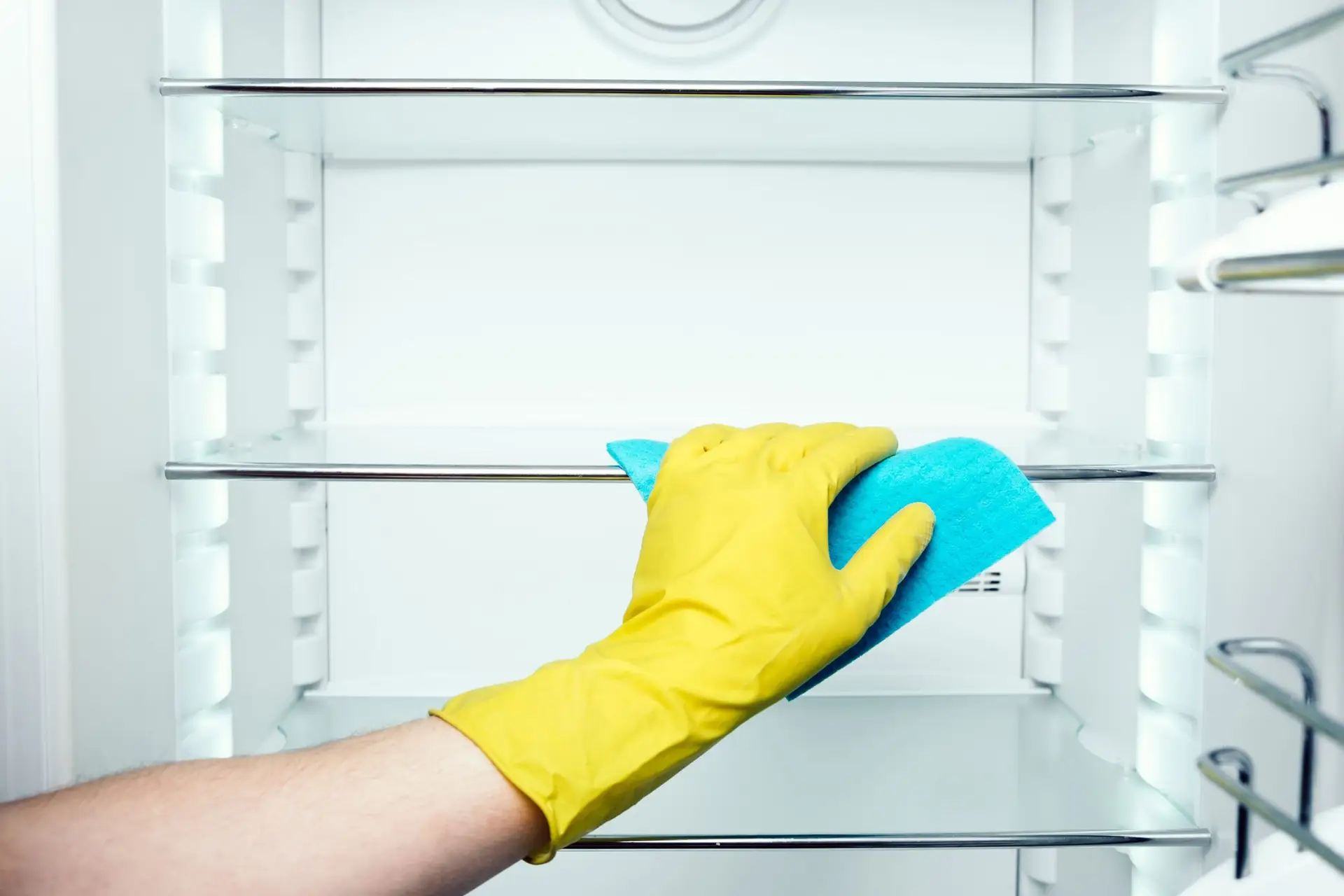 Refrigerator cleaning products