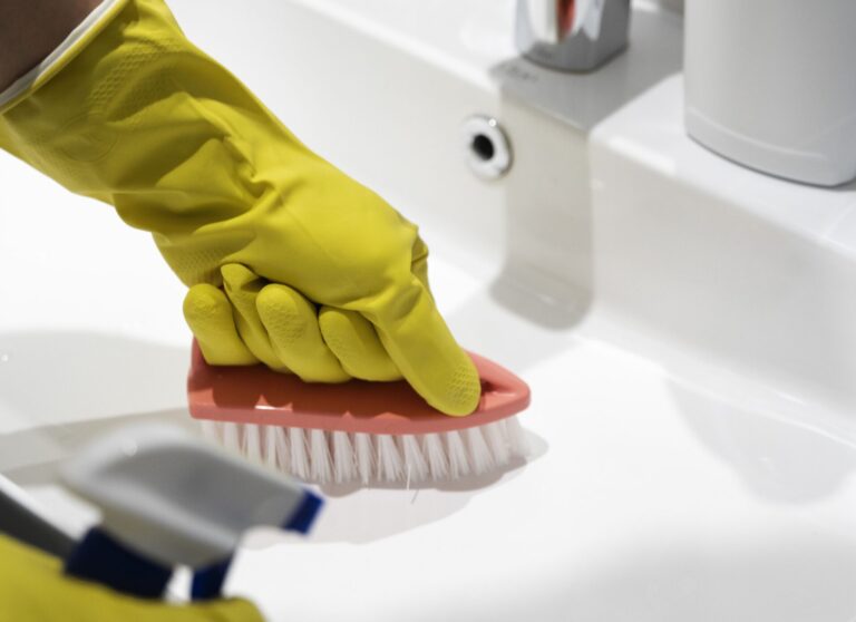 Can You Use Toilet Bowl Cleaner in the Sink?