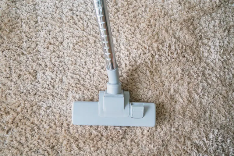 How to Clean Dog Pee from a Rug?