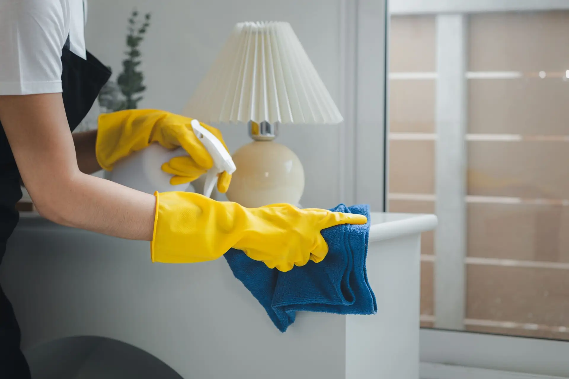 House Cleaning Near Me