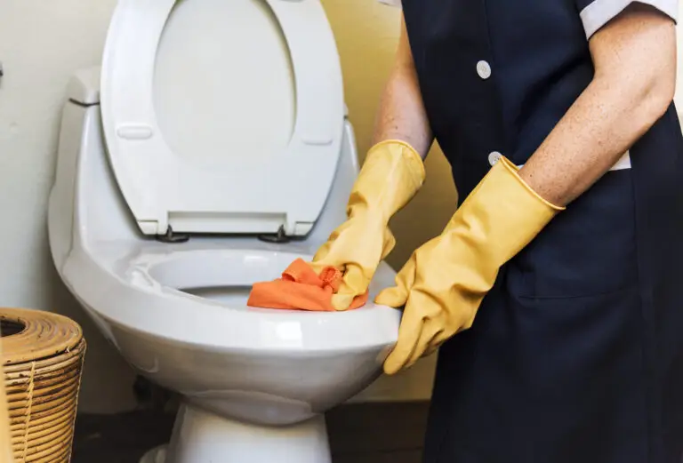 How to Use Toilet Bowl Cleaner? The Gold Standard for Sanitization
