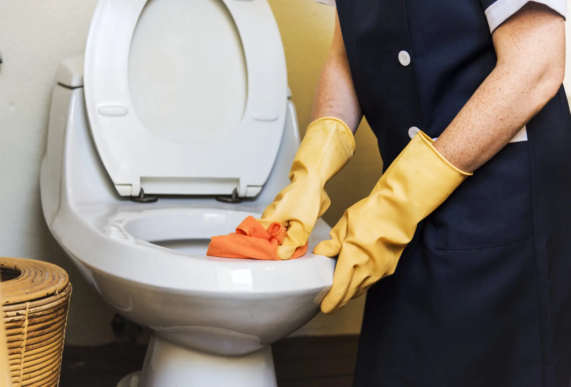 Toilet Bowl Cleaner