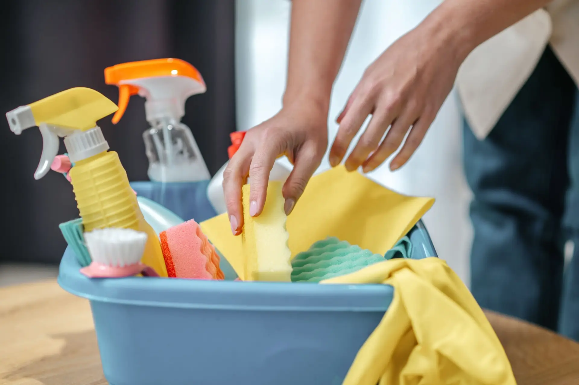 One Time Cleaning Service Near Me