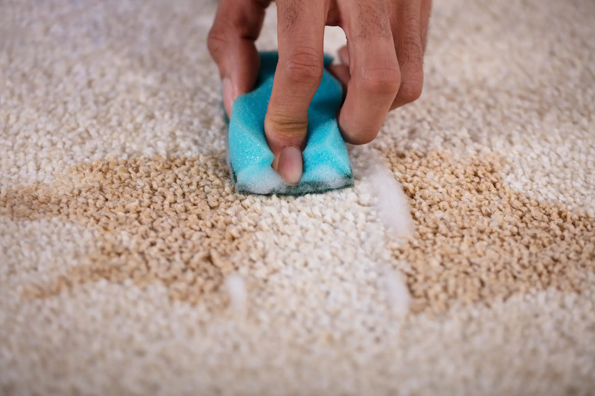 How to Remove Carpet Stains Naturally