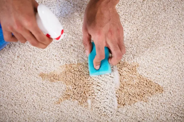 How to Remove Pet Stains From Carpet?